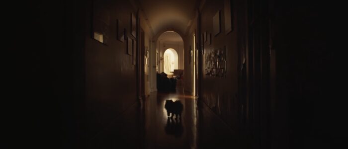 Dolce Casa 5